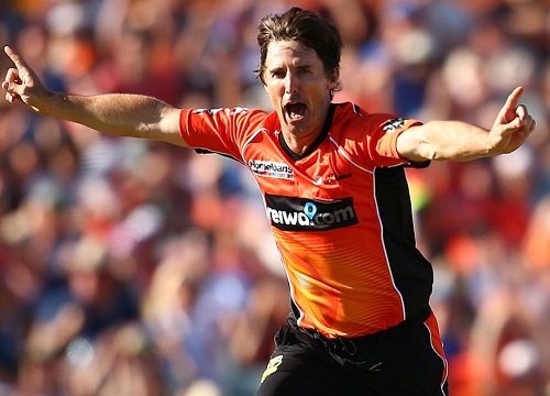 Brad Hogg leaves Perth Scorchers ahead of BBL-06 | Twenty20 Wiki