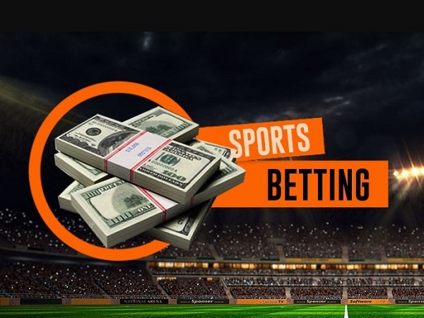 Sports betting in India: How to choose the best site